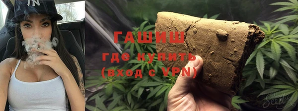 хмурый Алексин