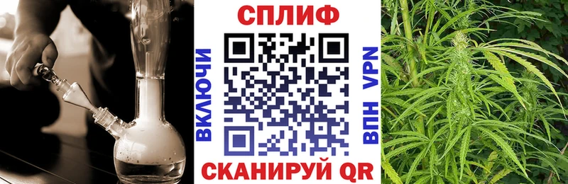 где продают   Новодвинск  Конопля тримм 